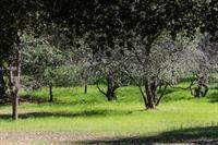 14521 Quito Road, Saratoga, CA 95070