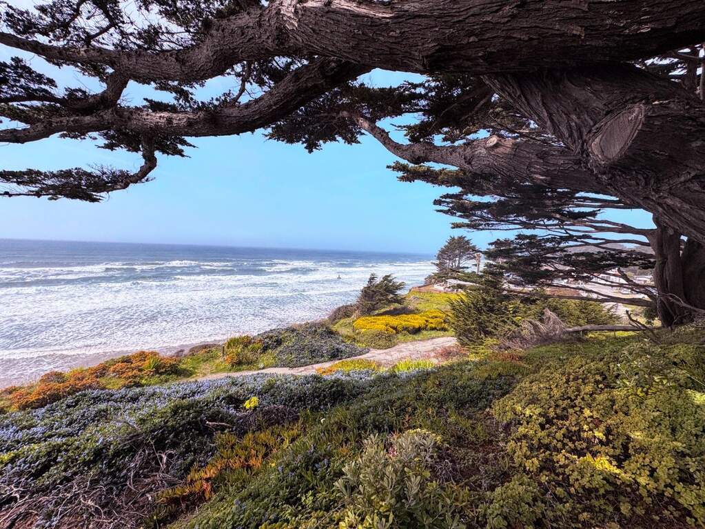 0 Ocean photo