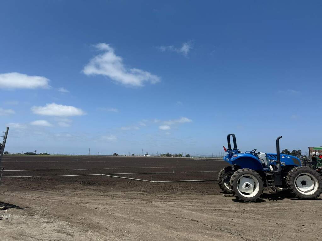  Castroville photo