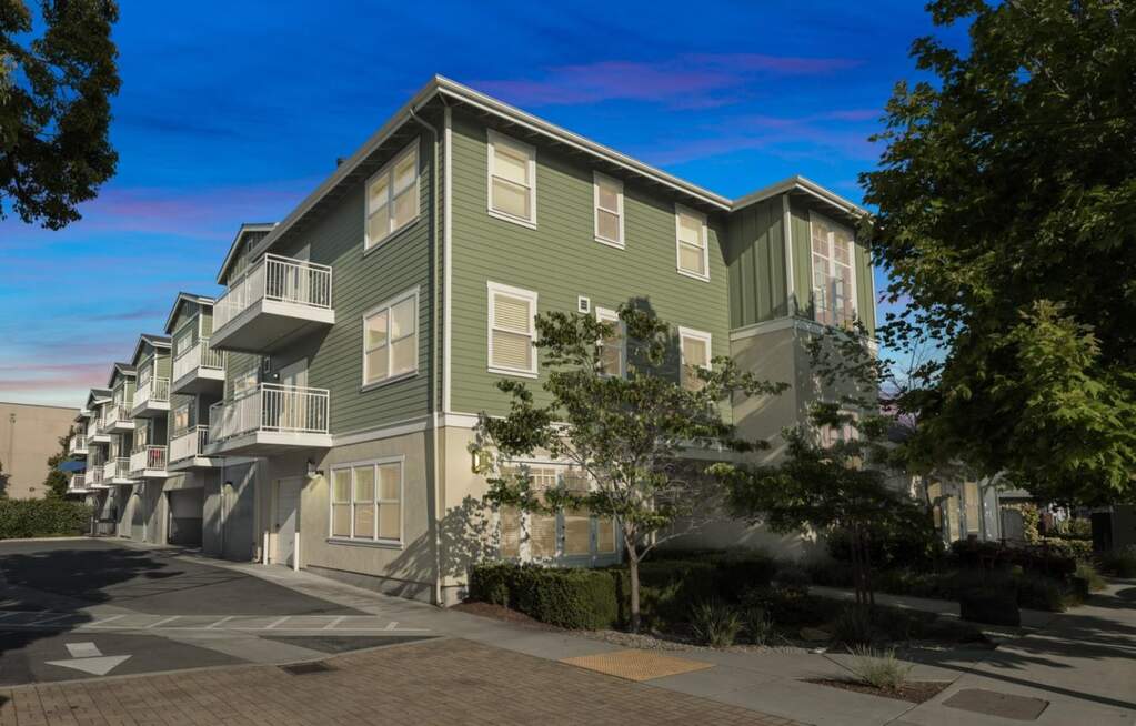 708 Frederick Street #204 photo