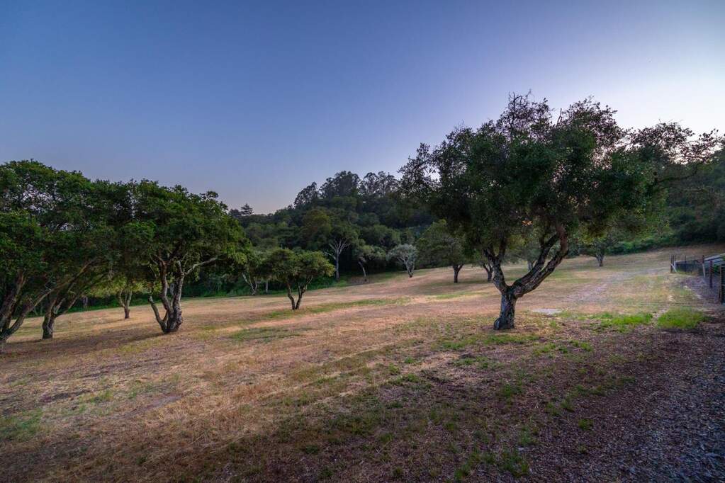 235 Vista Del Pajaro Road, Corralitos, CA 95076