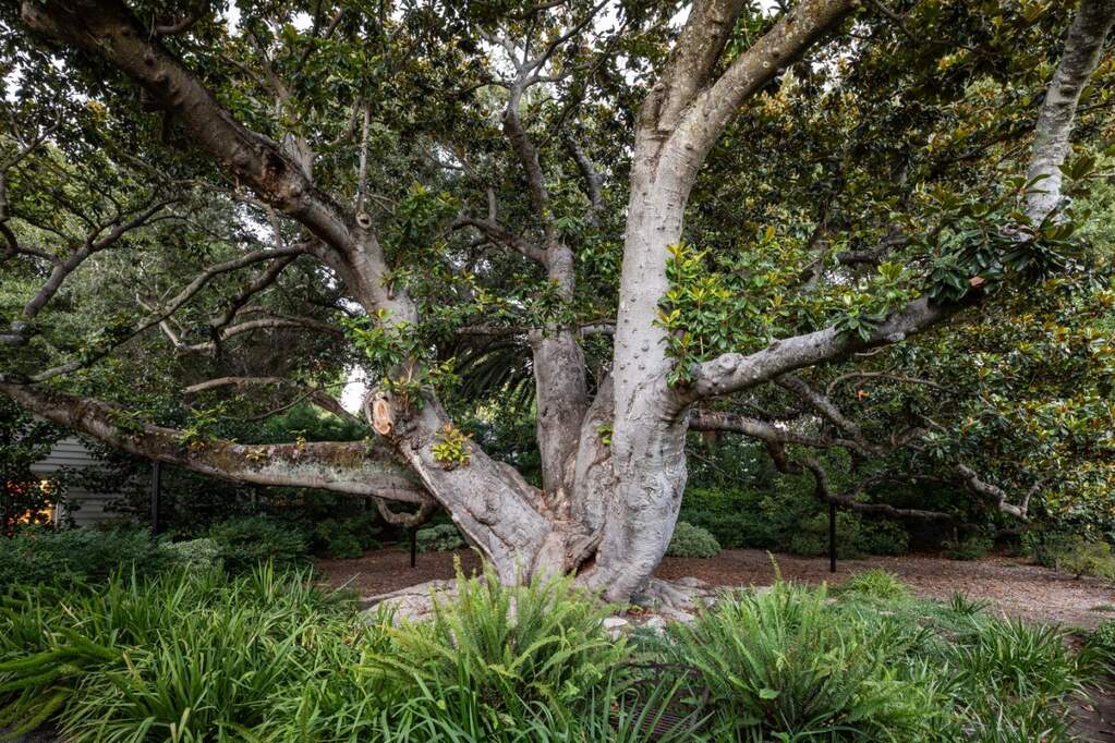 77 Flood Circle, Atherton, CA 94027