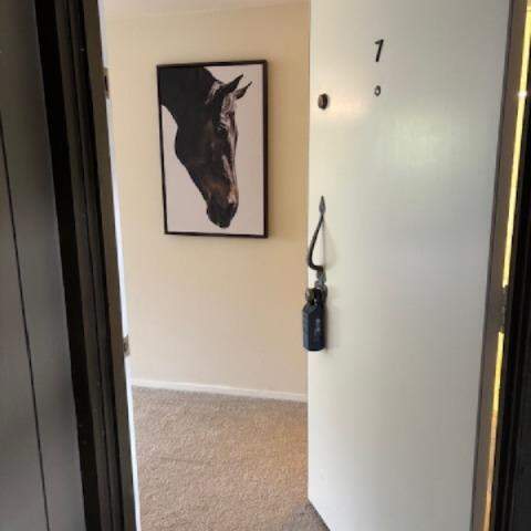 3295 La Mesa Drive #7 photo