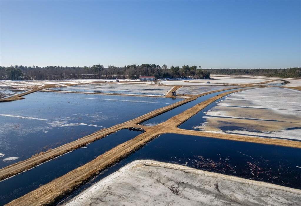 Farm/Ranch/Plantation's Image 9