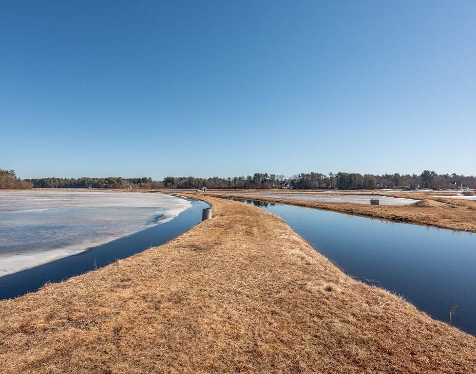 Farm/Ranch/Plantation's Image 16
