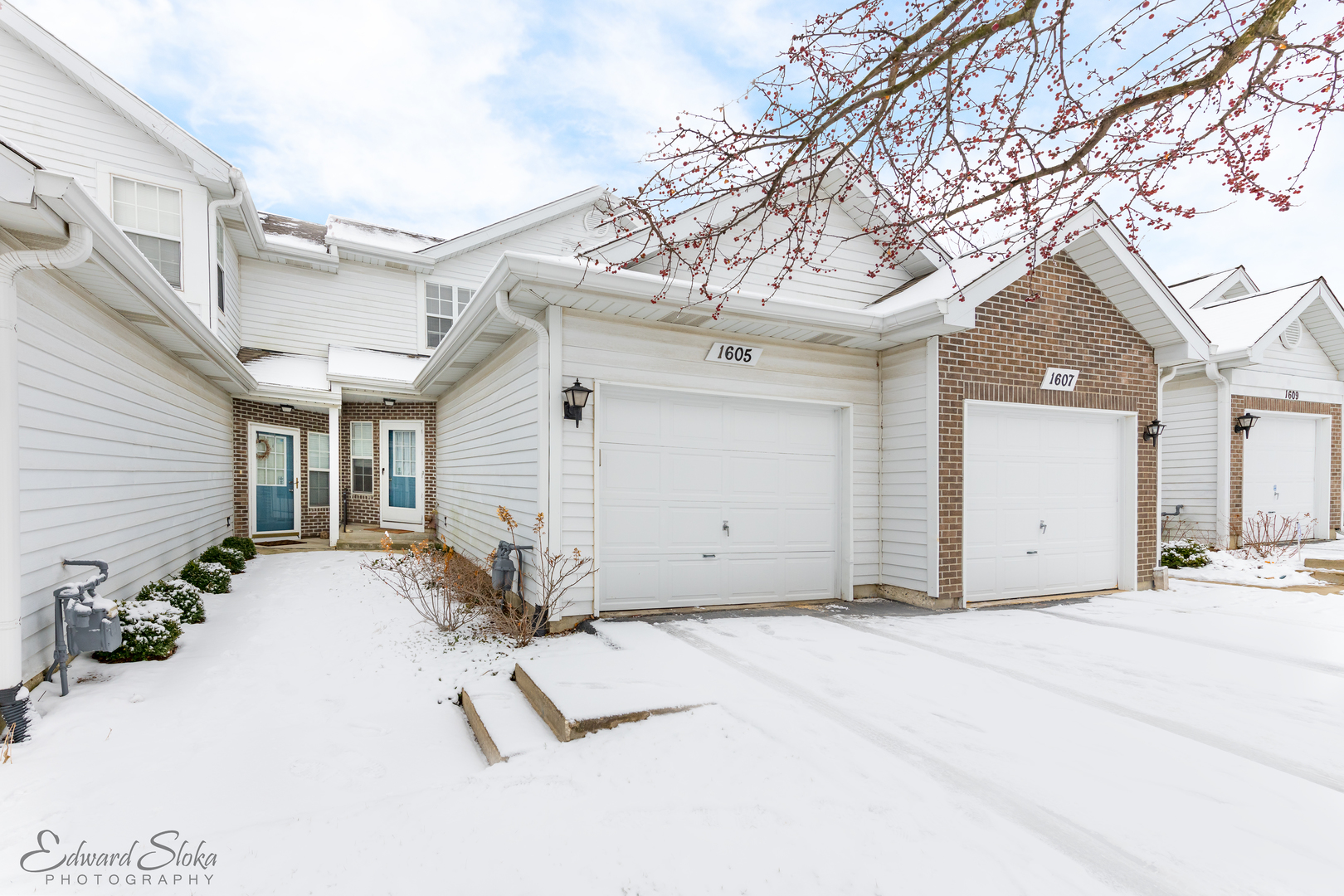 1605 Woodhaven Court, Mundelein, IL 60060 MLS 9842648 properties