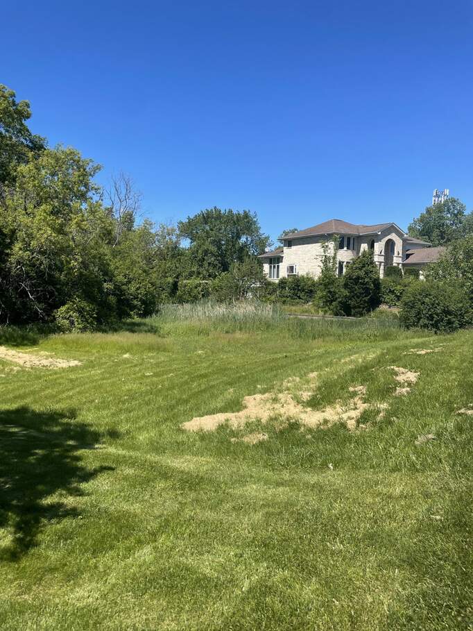 688 Spruce Drive photo