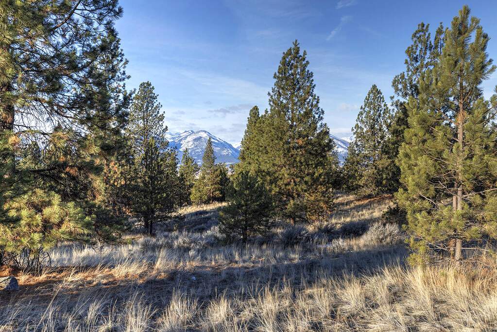 Land/Vacant Land's Image 8