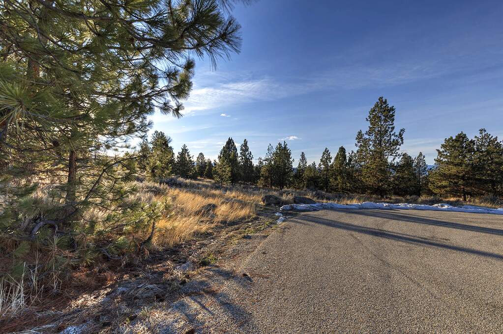 Land/Vacant Land's Image 9