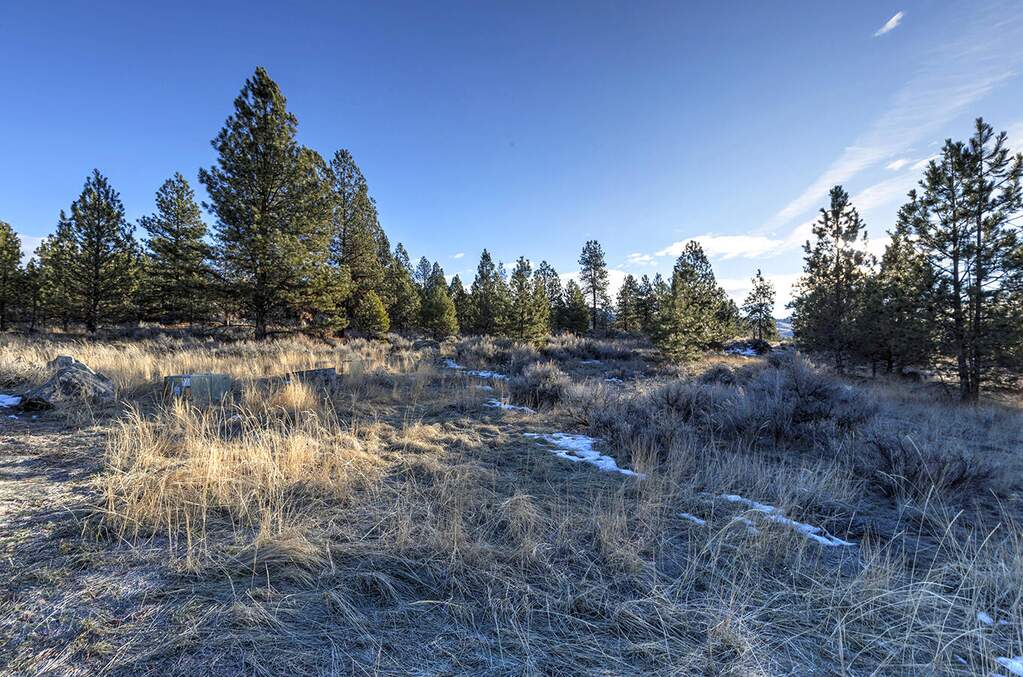Land/Vacant Land's Image 11
