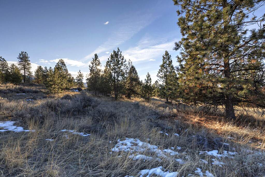 Land/Vacant Land's Image 12