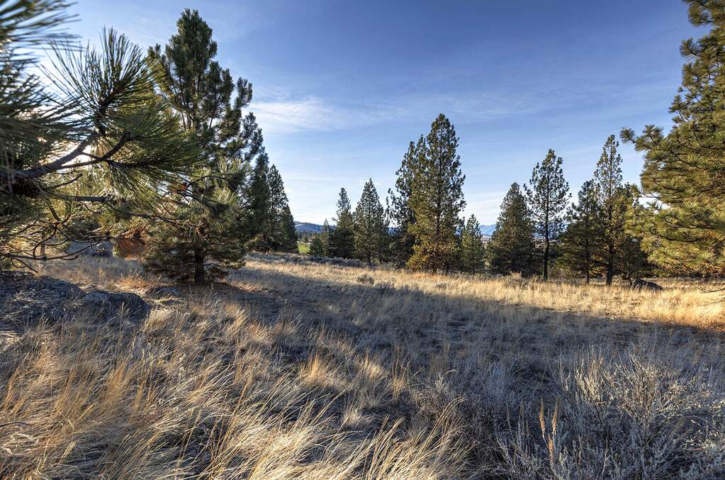 Land/Vacant Land's Image 13