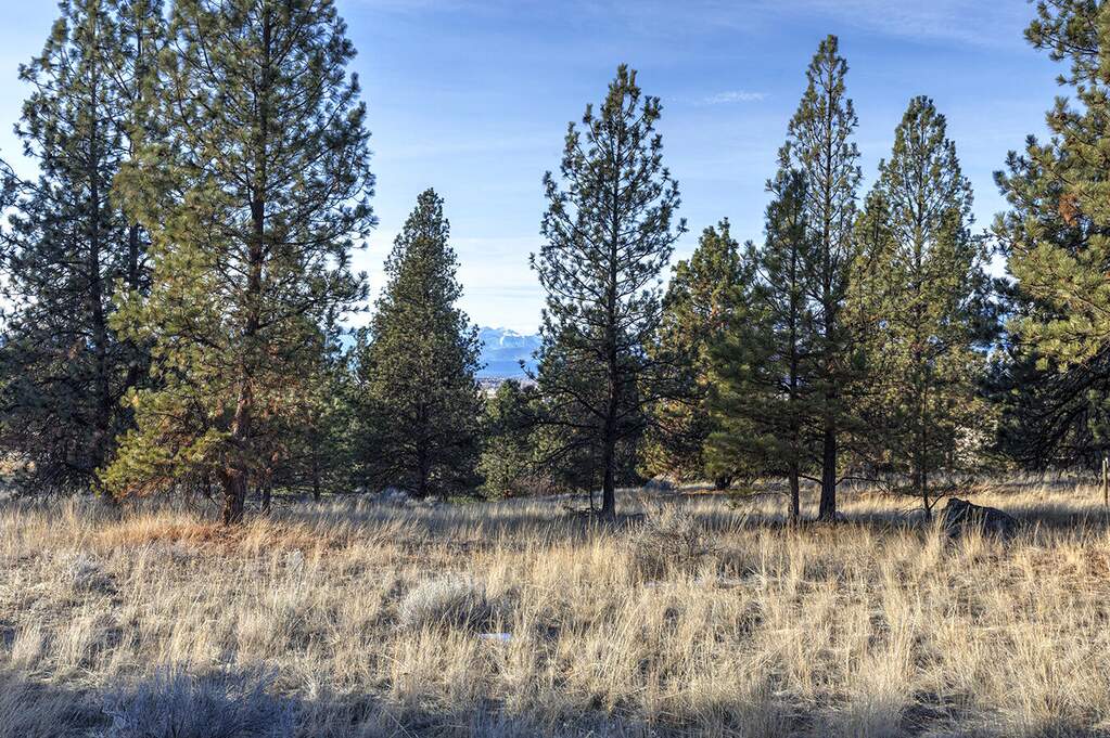 Land/Vacant Land's Image 14