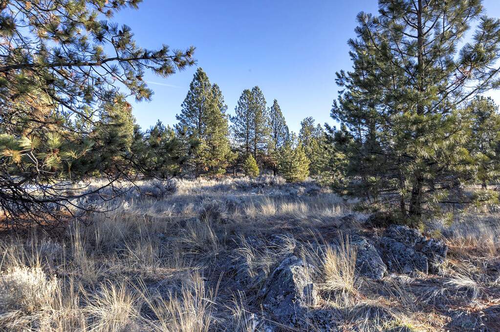 Land/Vacant Land's Image 15