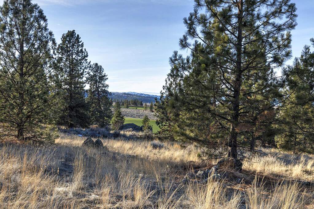 Land/Vacant Land's Image 23