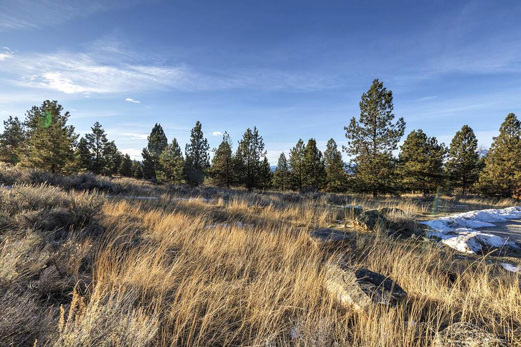 Land/Vacant Land's Image 28