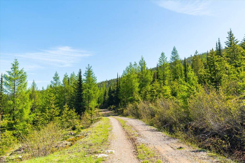 Farm/Ranch/Plantation's Image 38