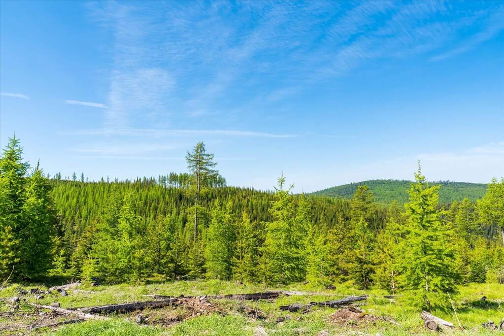 Farm/Ranch/Plantation's Image 42