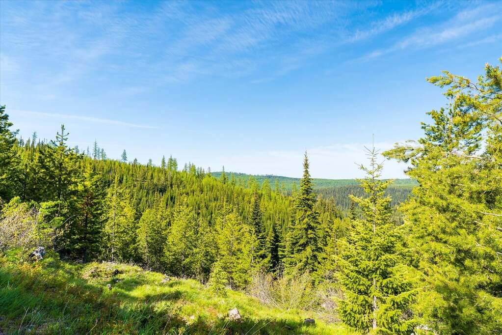 Farm/Ranch/Plantation's Image 44