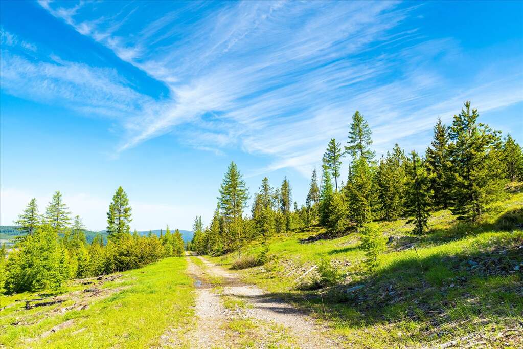 Farm/Ranch/Plantation's Image 45