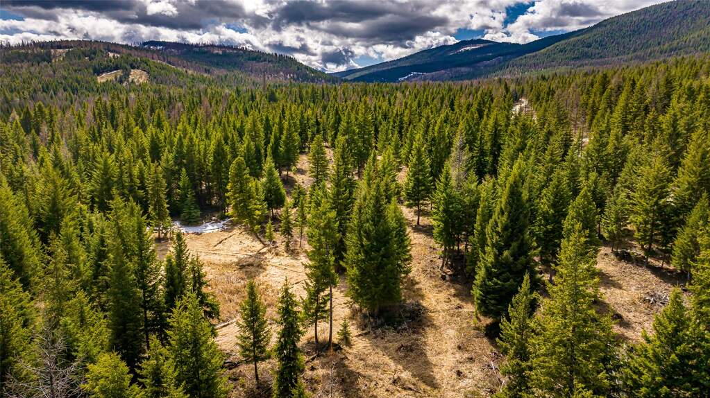 Land/Vacant Land's Image 9