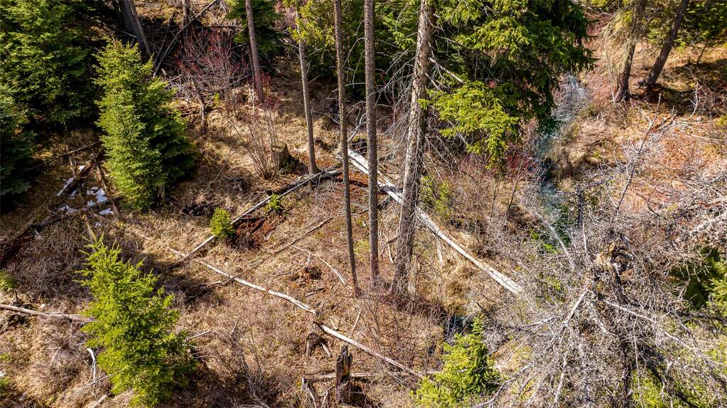Land/Vacant Land's Image 13
