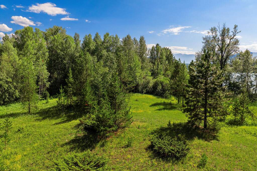 Land/Vacant Land's Image 8