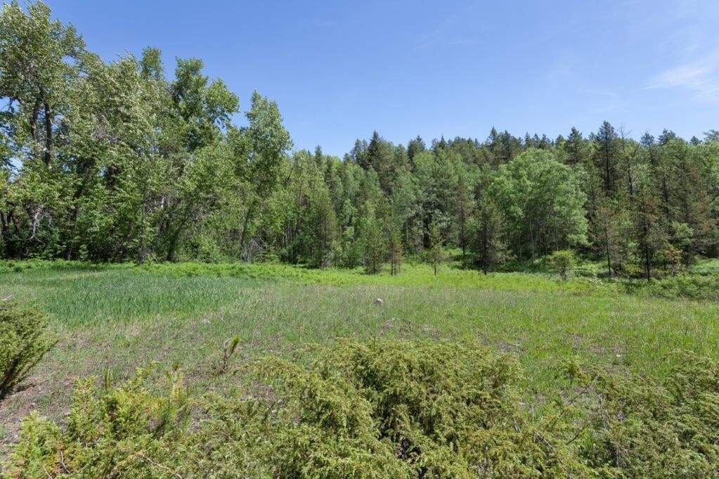 Land/Vacant Land's Image 9