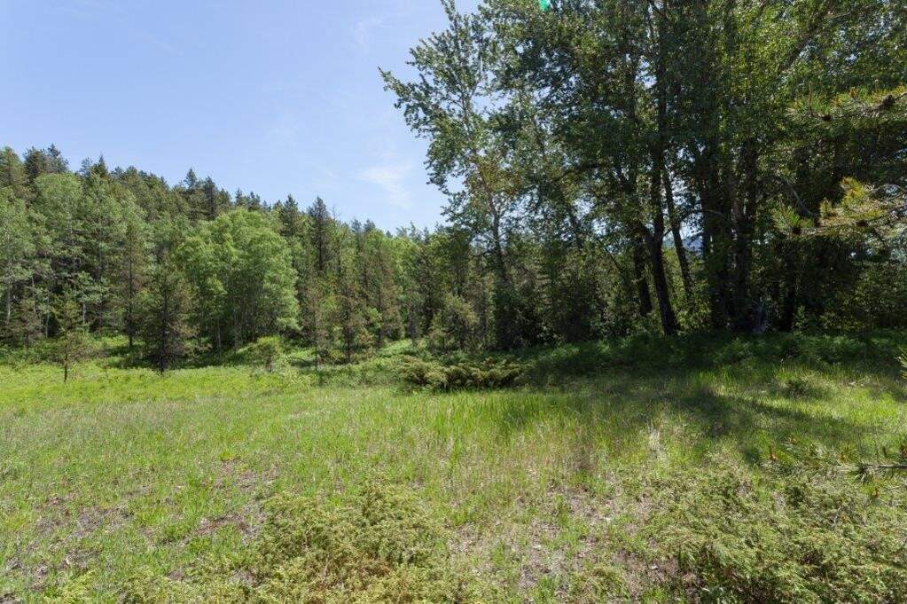 Land/Vacant Land's Image 10