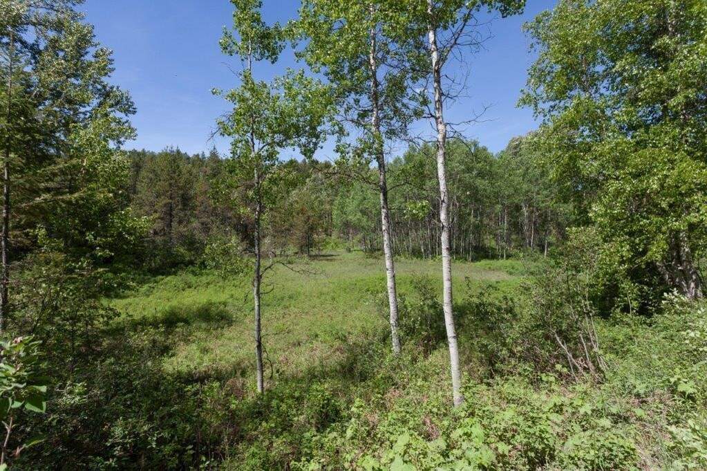 Land/Vacant Land's Image 11