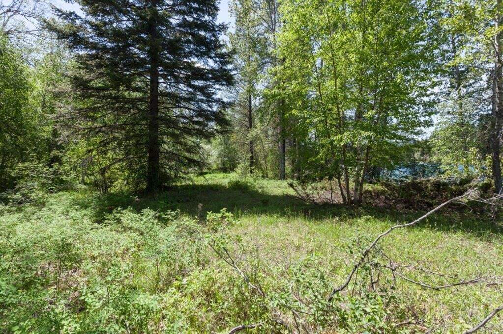 Land/Vacant Land's Image 12