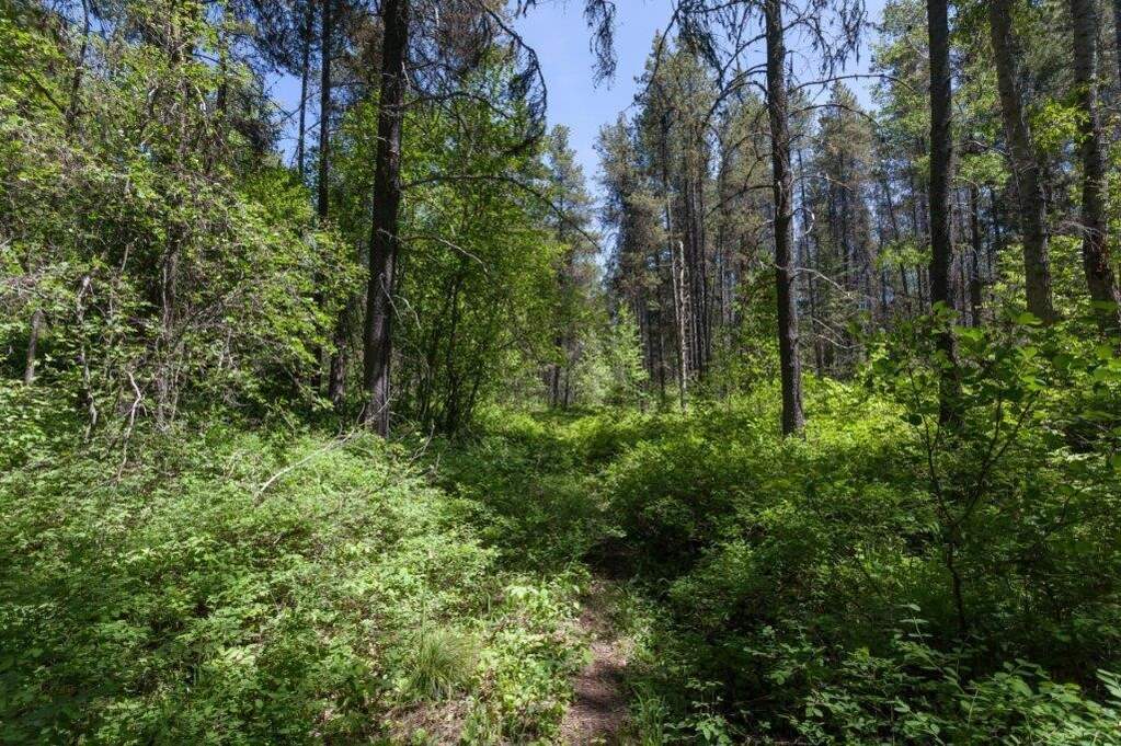 Land/Vacant Land's Image 13