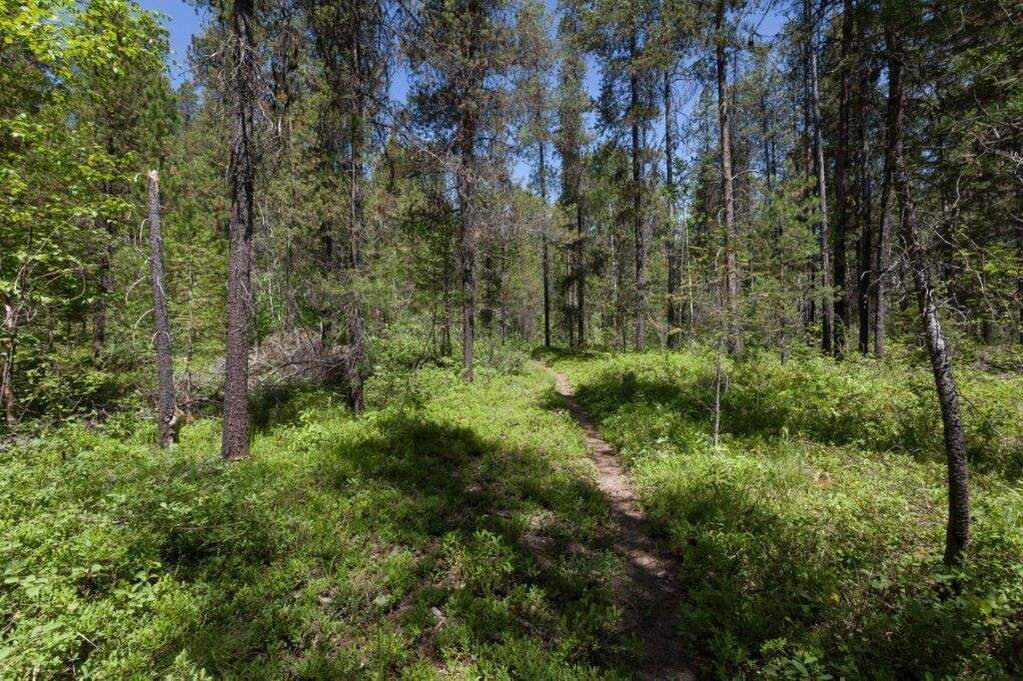 Land/Vacant Land's Image 14