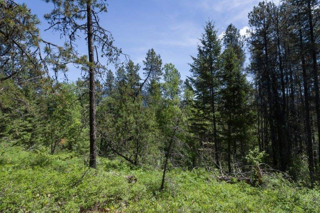 Land/Vacant Land's Image 18