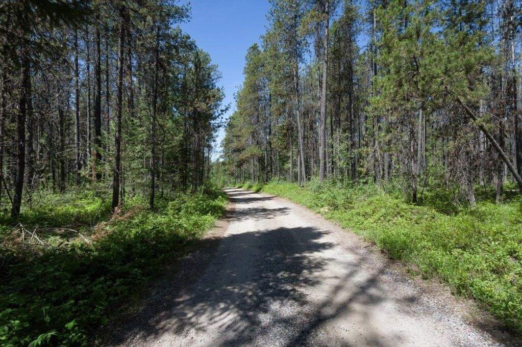 Land/Vacant Land's Image 19
