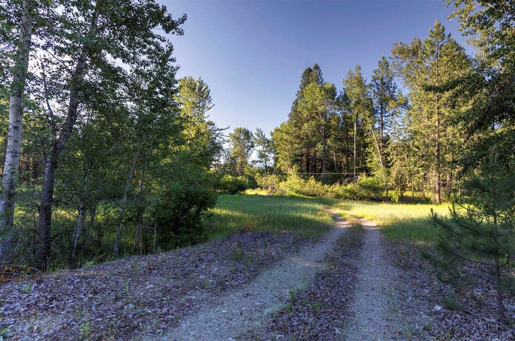 Land/Vacant Land's Image 7