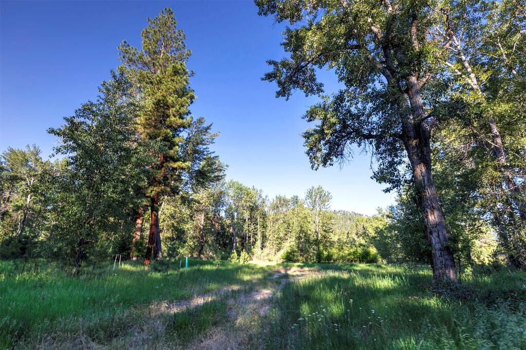 Land/Vacant Land's Image 9