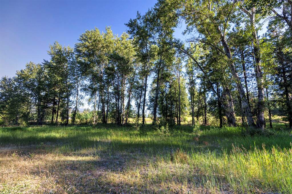 Land/Vacant Land's Image 19