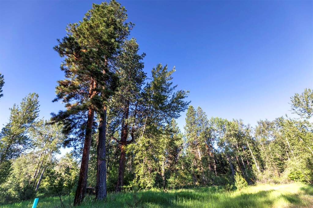 Land/Vacant Land's Image 20