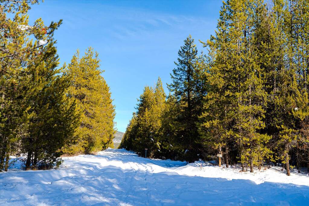 Farm/Ranch/Plantation's Image 7