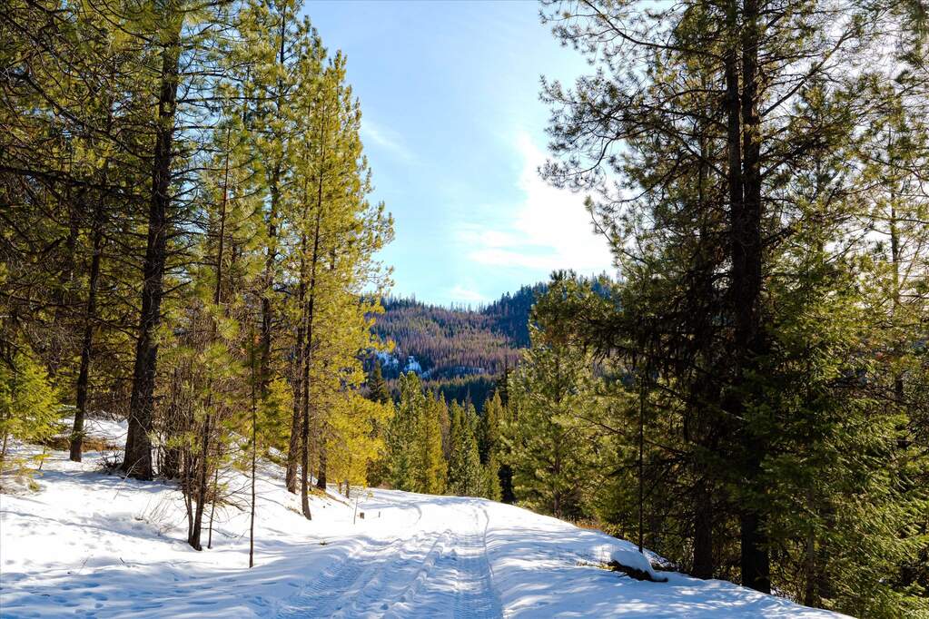 Farm/Ranch/Plantation's Image 8