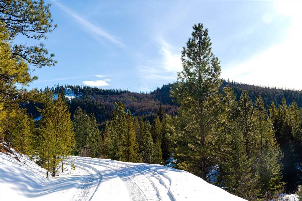 Farm/Ranch/Plantation's Image 9