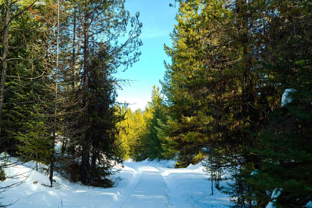 Farm/Ranch/Plantation's Image 11