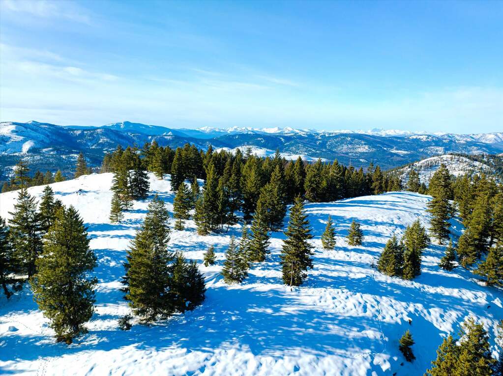 Farm/Ranch/Plantation's Image 23