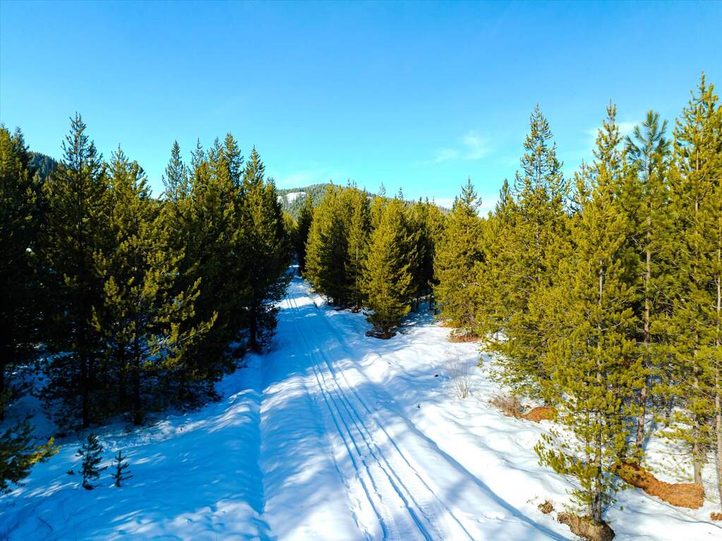Farm/Ranch/Plantation's Image 47