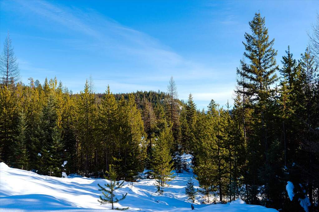 Farm/Ranch/Plantation's Image 5