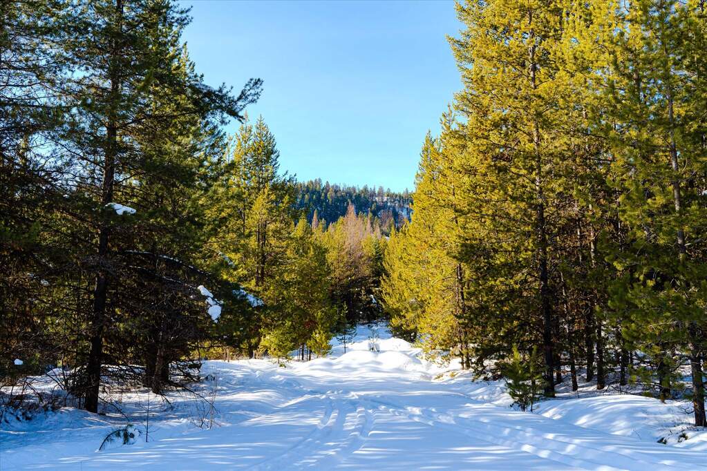 Farm/Ranch/Plantation's Image 6