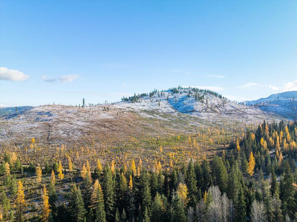 Farm/Ranch/Plantation's Image 8