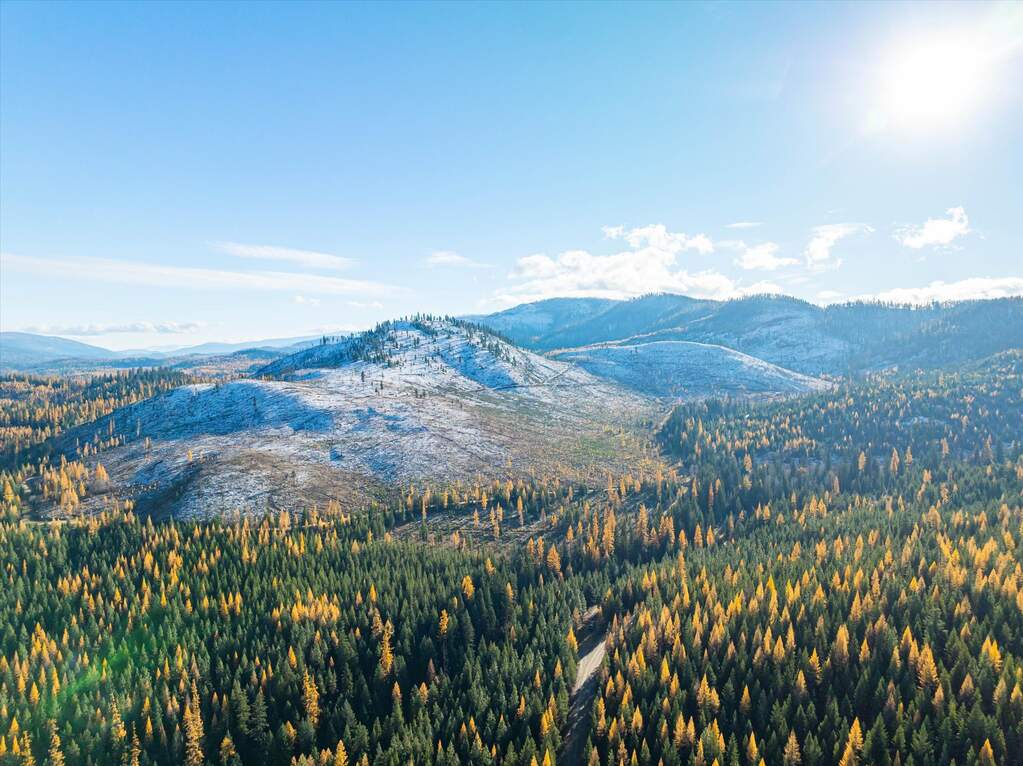 Farm/Ranch/Plantation's Image 12