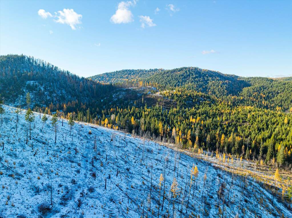 Farm/Ranch/Plantation's Image 42